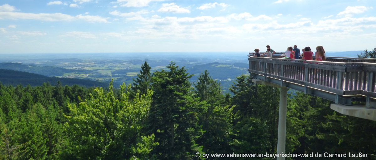 Waldwipfelweg in Sankt Englmar sankt-englmar-freizeitangebote-niederbayern-ausflug-highlights-waldwipfelweg