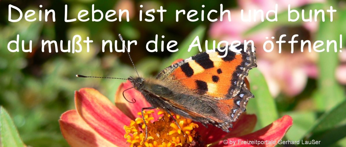 Schöne und kurze Sprüche zum Nachdenken - Texte zu Leben & Freundschaft sprüchebilder-wahre-worte-lustiger-spruch-leben-augen